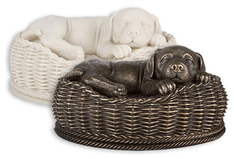 Cãozinho na cestinha