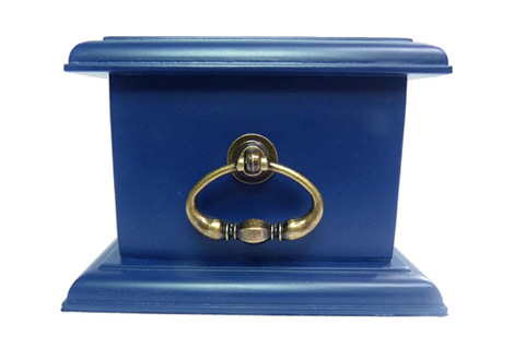 Petbox azul com alça