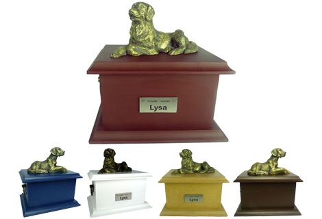 Petbox oriental com miniatura